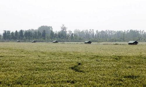 基建受阻，農業科技開發或將面臨變數