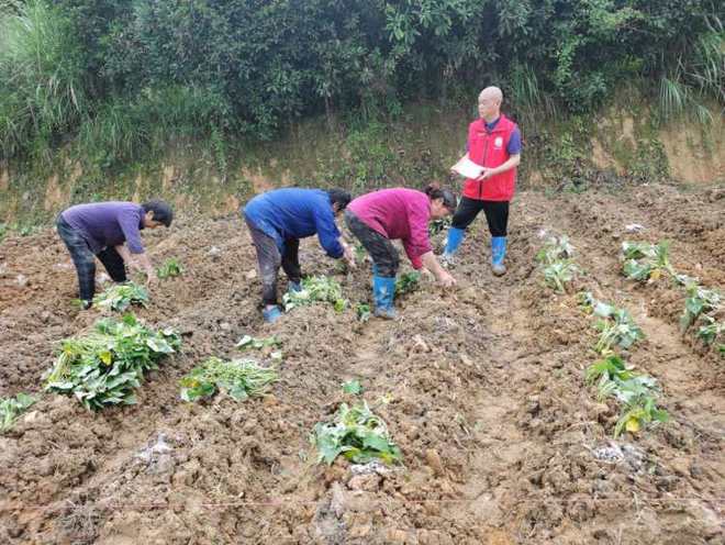 線上開網(wǎng)課線下送技術(shù) 巴南科技特派員雙線并進(jìn)，賦能農(nóng)業(yè)生產(chǎn)促農(nóng)增收