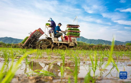 當(dāng)前中國(guó)經(jīng)濟(jì)十問 從宏觀大勢(shì)到農(nóng)業(yè)技術(shù)創(chuàng)新的機(jī)遇與挑戰(zhàn)